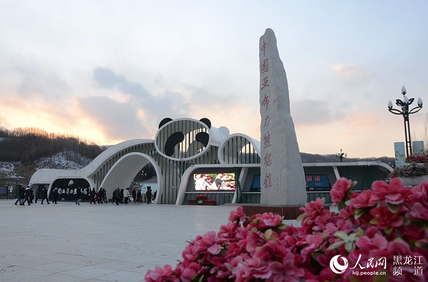 中国“最北”亚布力熊猫馆 思嘉和佑佑的冰雪之约 中国“最北”亚布力熊猫馆 思嘉和佑佑的冰雪之约