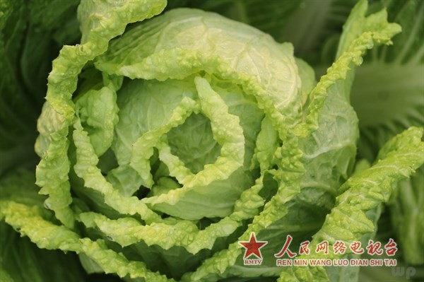 冬天法宝:炒白菜的时候放它,营养胜过人参,提高免疫力! 冬天法宝:炒白菜的时候放它,营养胜过人参,提高免疫力!