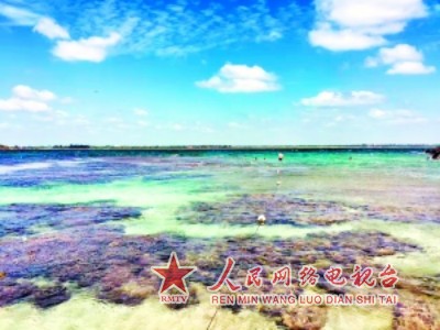 乘滨海火车 游斯里兰卡梦幻之境 在亭可马里可饱览海底奇观。