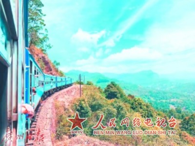 乘滨海火车 游斯里兰卡梦幻之境 斯里兰卡茶山小火车。