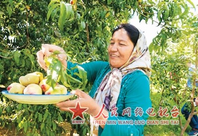 新疆策勒:绿树环绕沙漠村庄